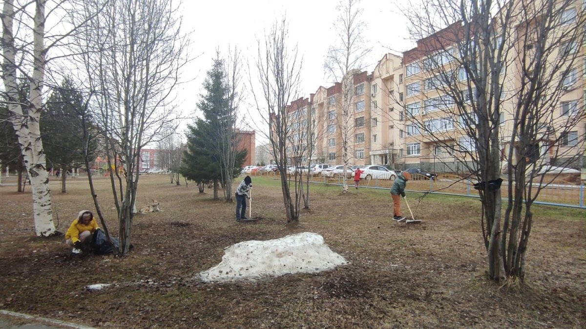    В Пойковском чиновники местной администраций выйдут на субботник по уборке территорий