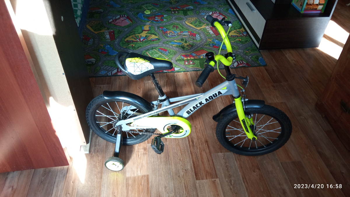 Наш верный друг.. 