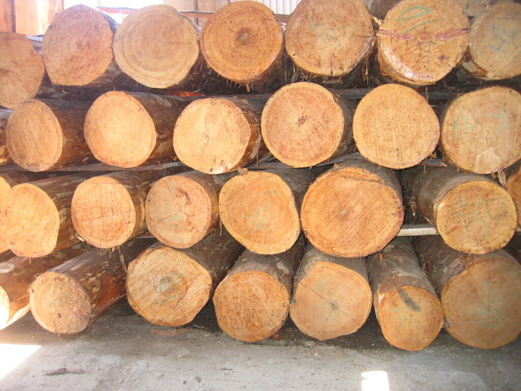 Бревно длиной 8 м 50 см. Деловая древесина крупная средняя мелкая.