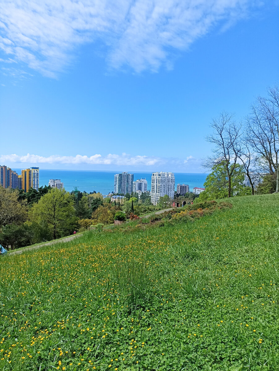 Вид сверху на город 