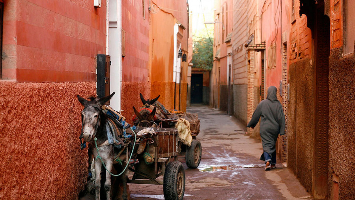 Марракеш. Медина.
