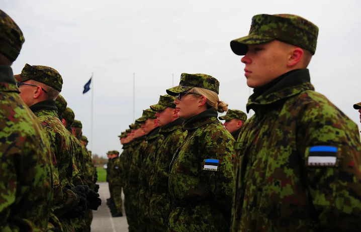 Силы обороны Эстонии (фото с сайта hmn.wiki)