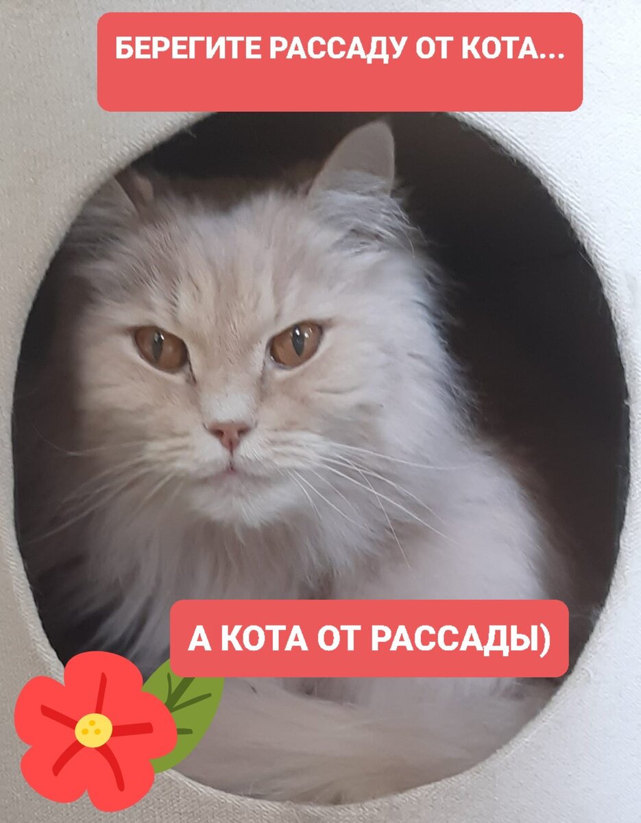 Филя.