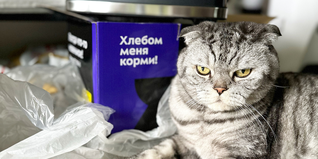 Меня хлебом не корми...