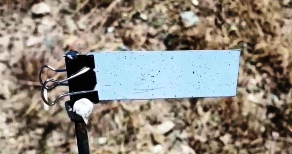    В программе ФАО ООН по улучшению биоборьбы с саранчой приняли участие российские специалисты