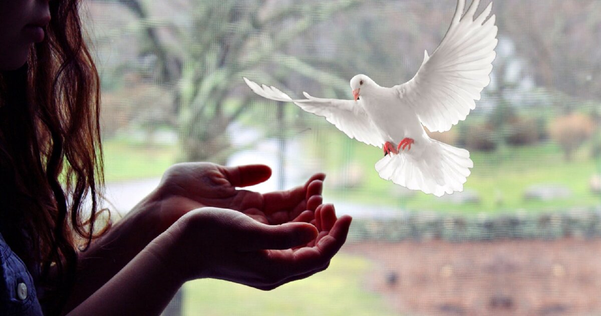 картинка взята из общедоступных источников