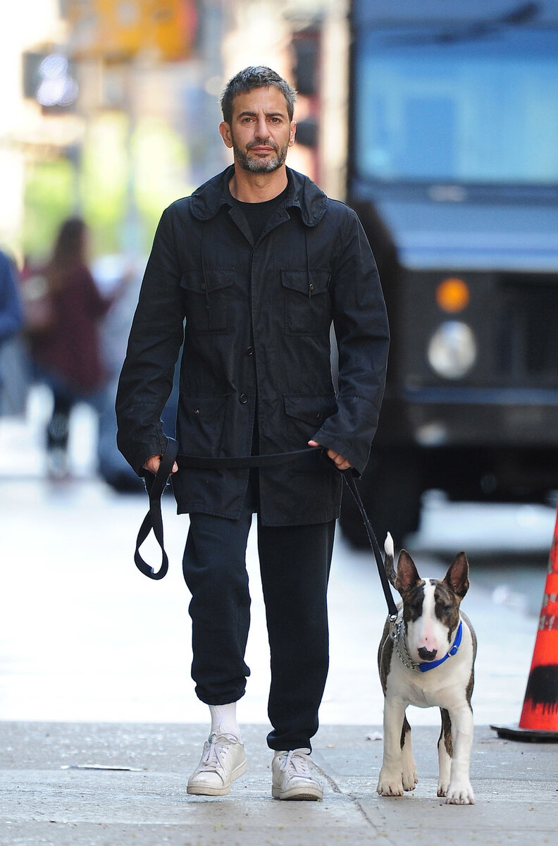 Питомец дизайнера собрал собственную аудиторию фолловеров, готовую восторженно следить за его жизнью