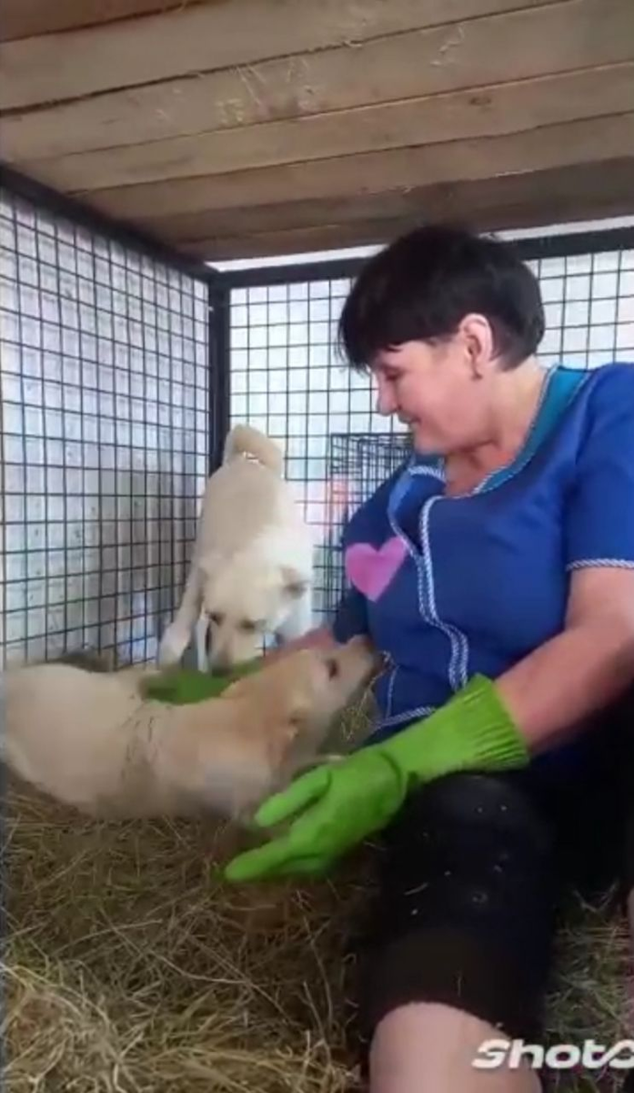 Оксана Козловская