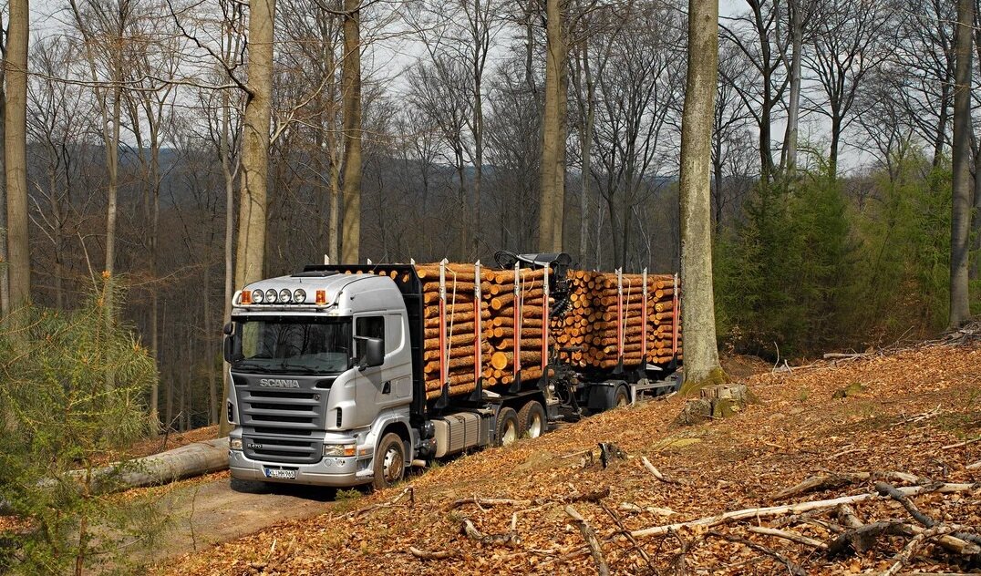 Транспортировка древесины