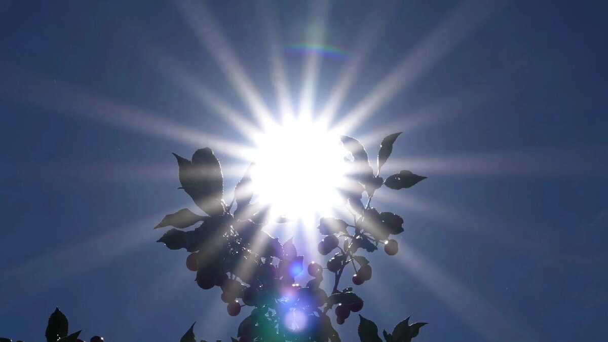 полет к звездам. конец света космос. песня свет планет. свет над миром встающий. песня свет планет.