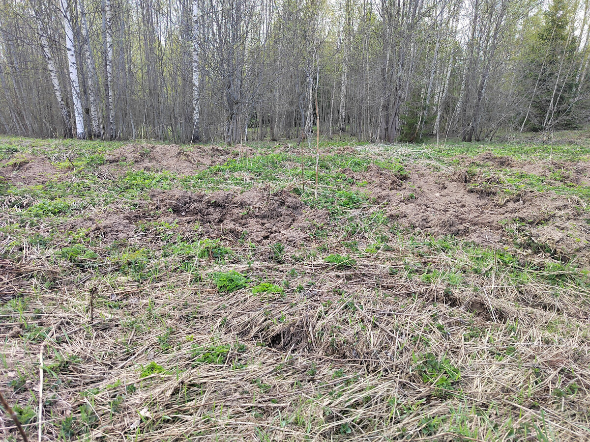 Как трактором прошлись 