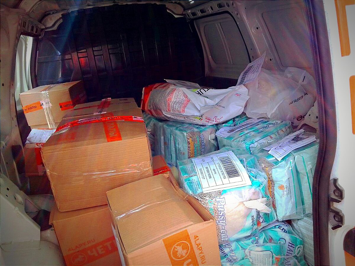 Больше половины кузова занял только бабушкин заказ