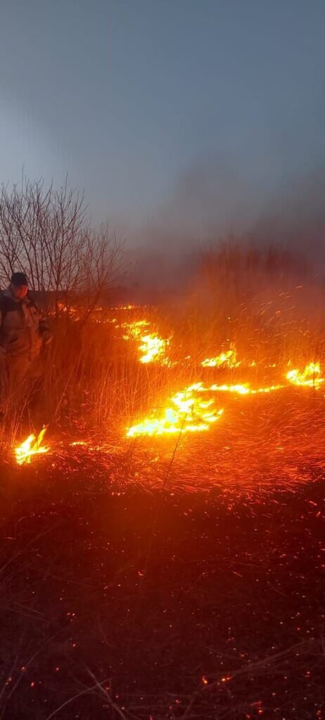   Фото: администрация Благовещенска