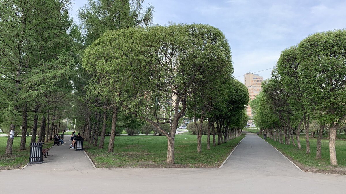 Город. Фото из личного архива