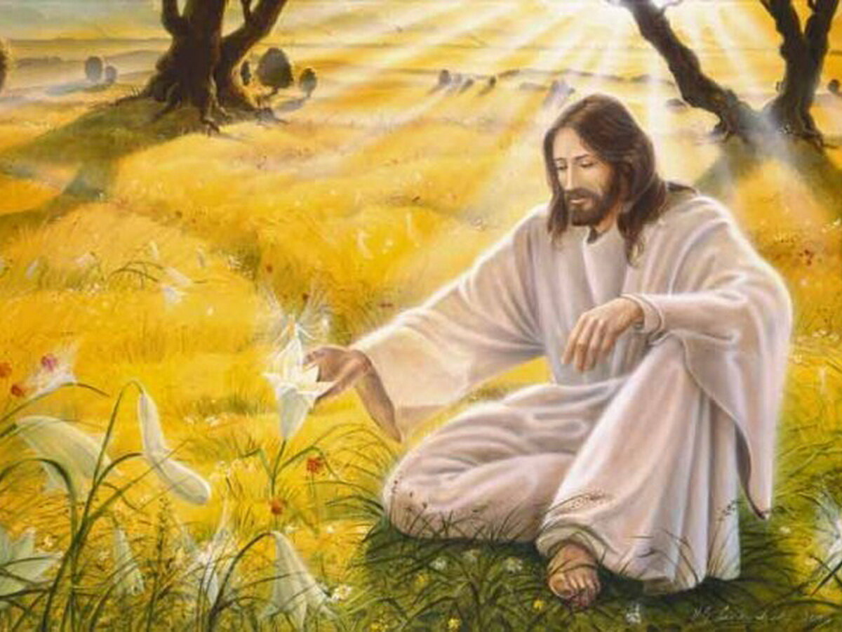 Фото из открытых источников