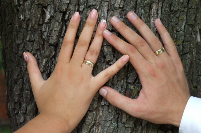    Сколько «проживут» отрубленные пальцы в холоде?