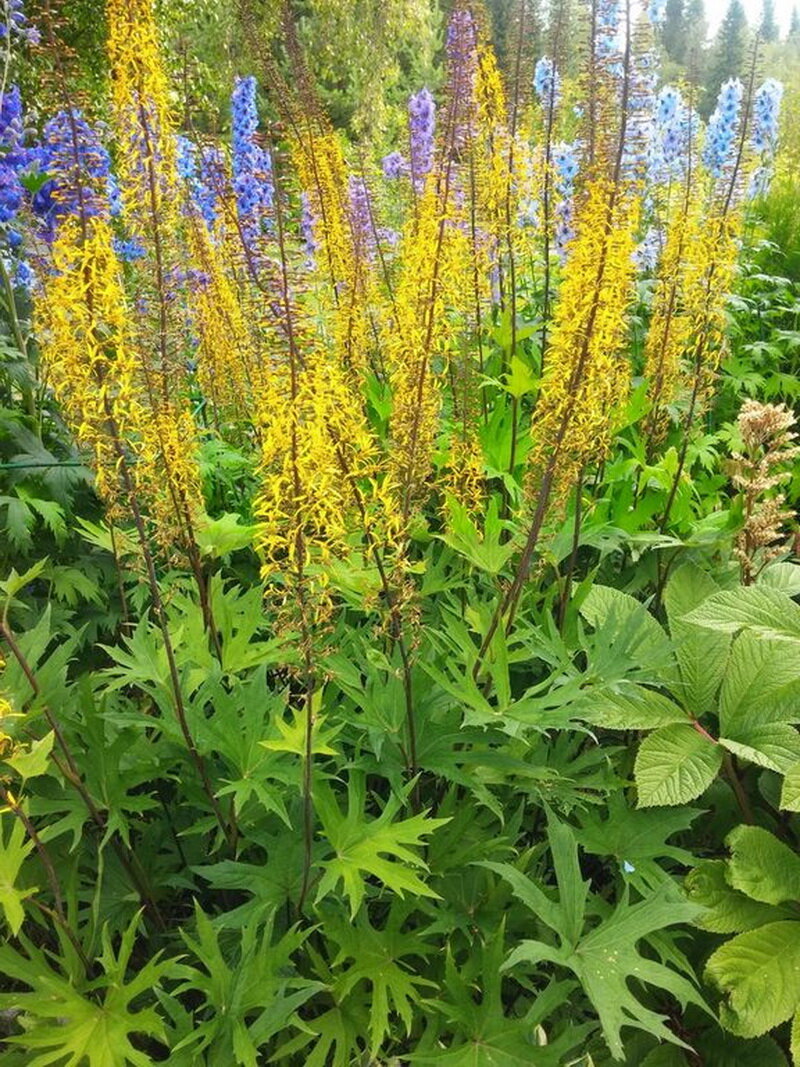 фото из свободного доступа.