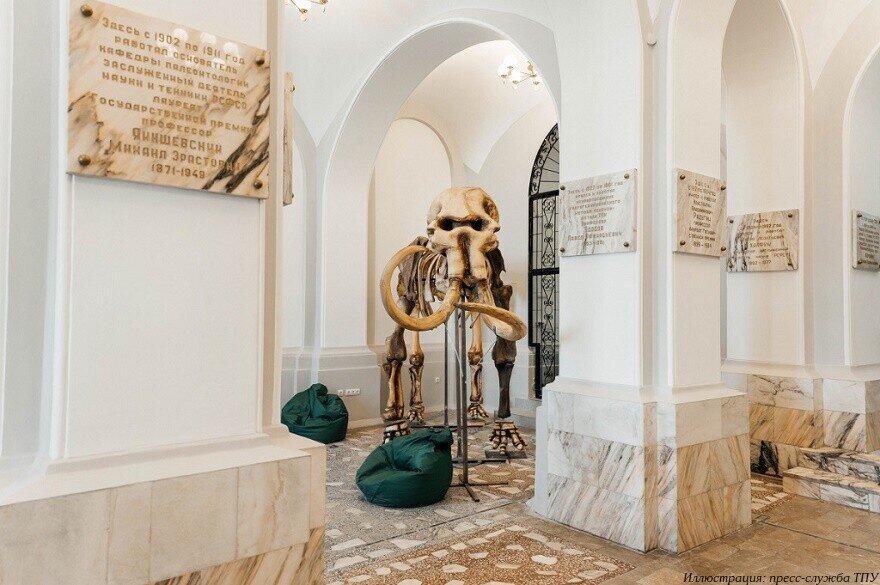 В Горном корпусе Томского политехнического университета (ТПУ) установлен новый арт-объект — частично напечатанный на 3D-принтере скелет взрослого мамонта.-2