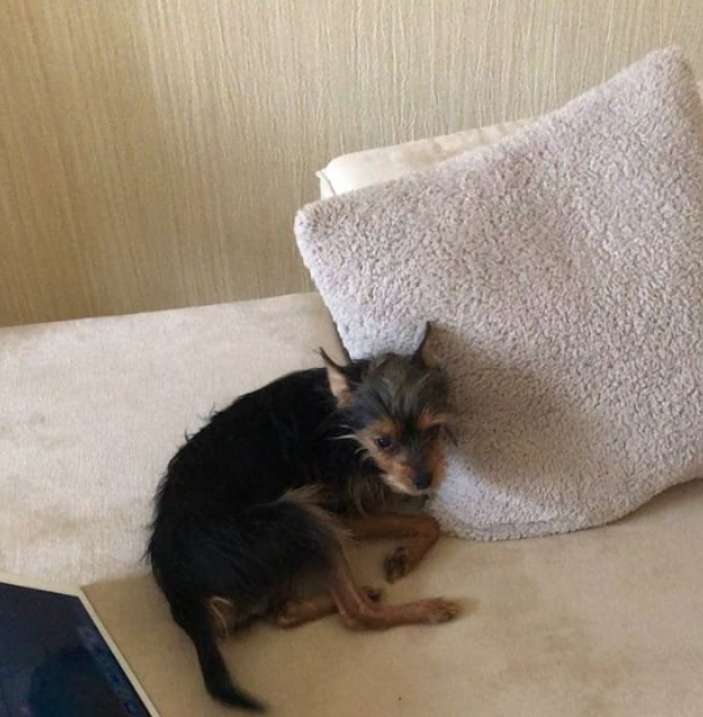 Фото волонтера