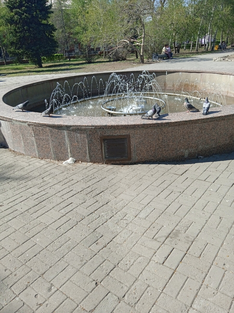 г Омск ЛАО парк напротив администрации округа. "фонтанище" - голуби ходят вокруг и смеются.