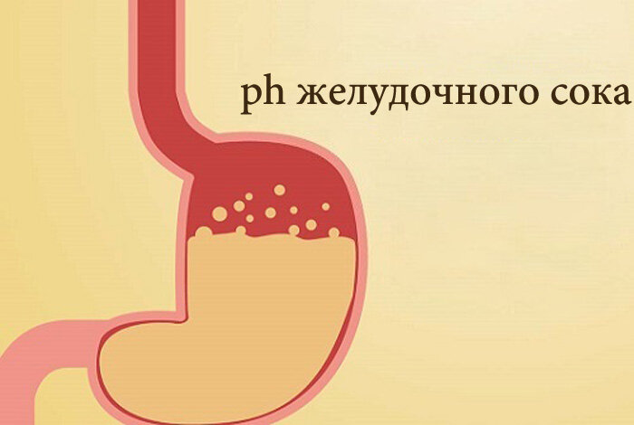 Запах изо желудка. Кислотность желудка. Кислотность желудочного сока. PH желудочного сока.