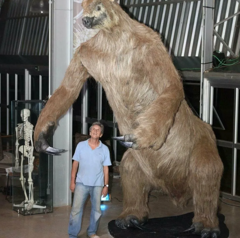 Покажи фотки гигантов. Eremotherium laurillardi. Гигантский Ленивец Эремотерий. Гигантский Ленивец вымерший. Эремотерий мигатрии.