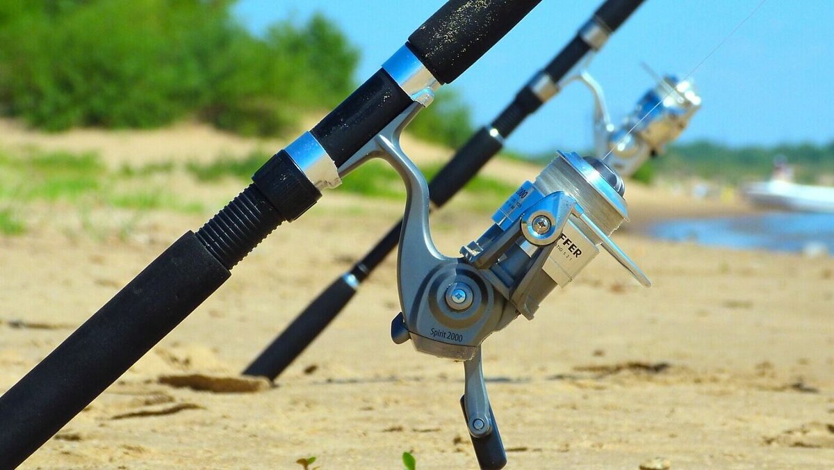     По результатам опроса, проведенного сервисом по поиску высокооплачиваемой работы SuperJob, женщины и мужчины имеют разные предпочтения, когда дело доходит до летнего отпуска. Женщины склонны к выбору путешествия на море или отдыху на даче, в то время как мужчины предпочитают проводить отпуск дома.