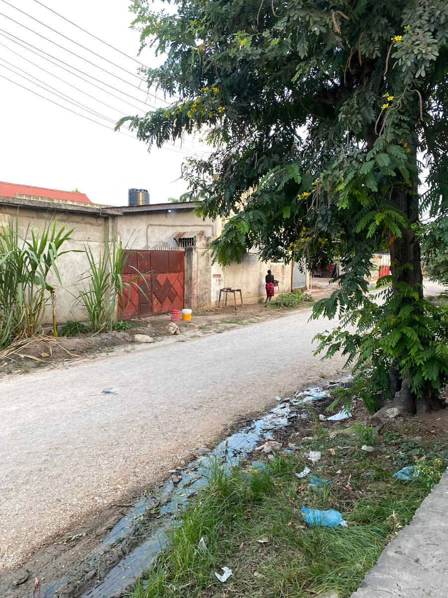 Улица у Мзунгу дома