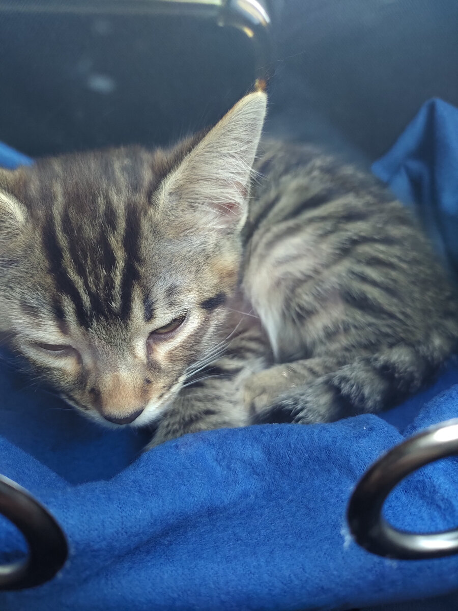 Фото из личного архива