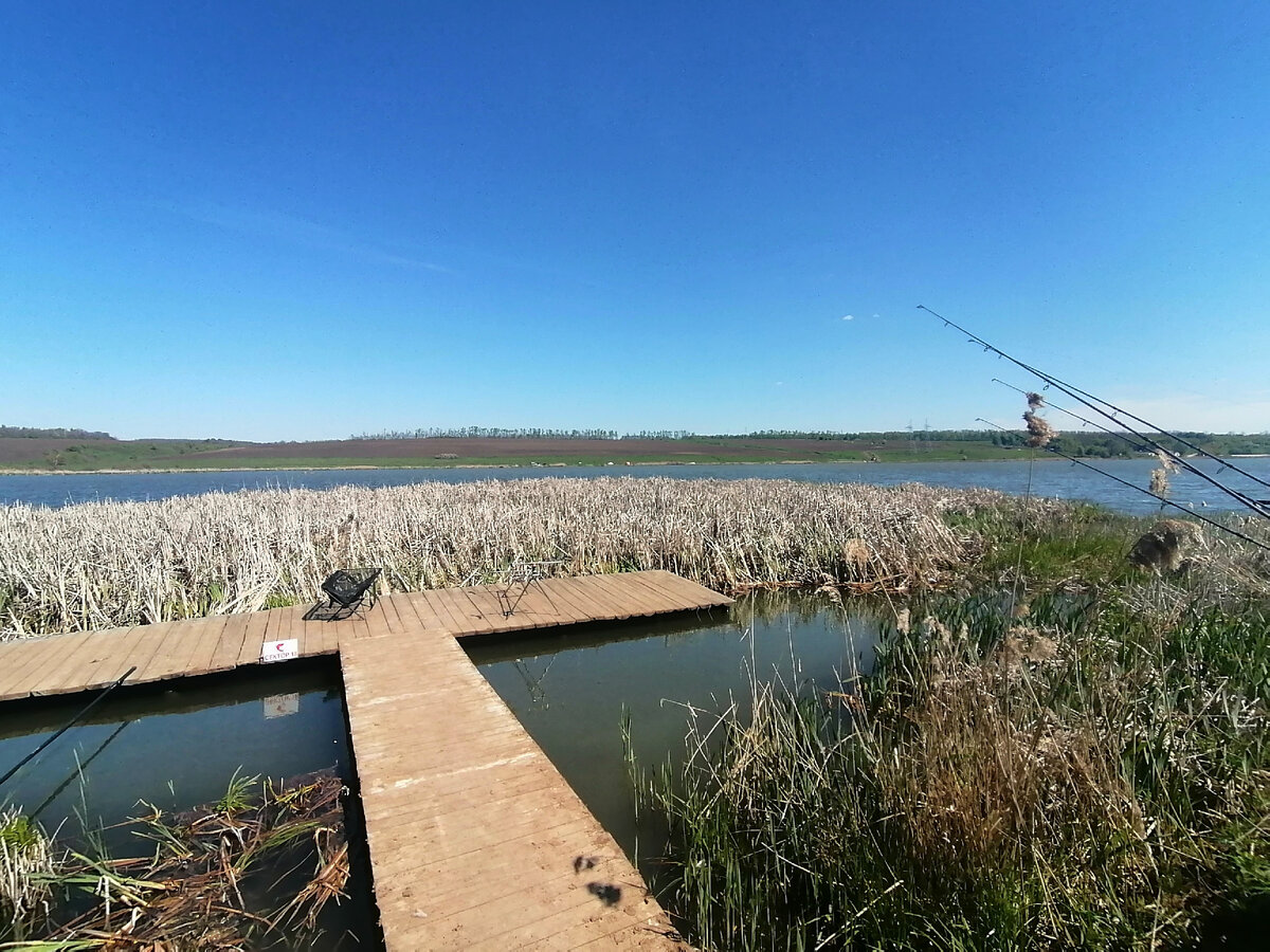 Карповые соревнования пруд Николаевка, Белгородская обл. | Янка и рыбалка  🌏 | Дзен