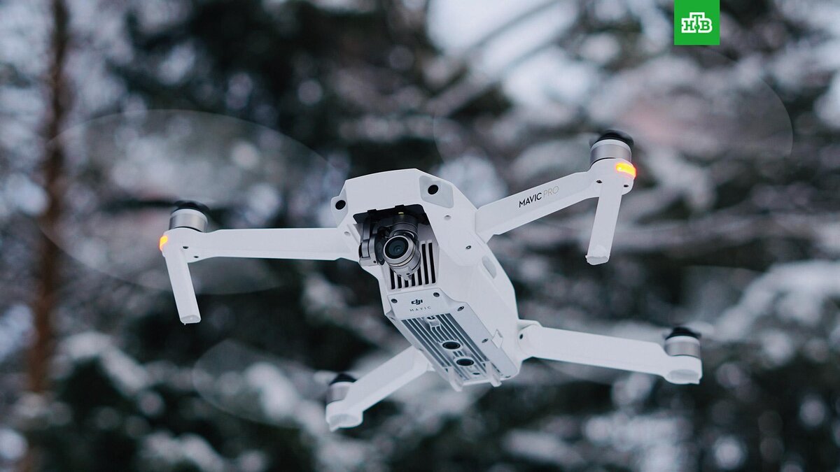    Фото: Anthony Chernigovsky / unsplash.com