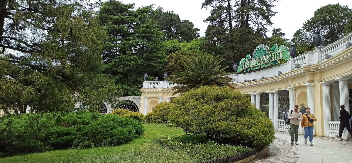 Дендрарий в Сочи