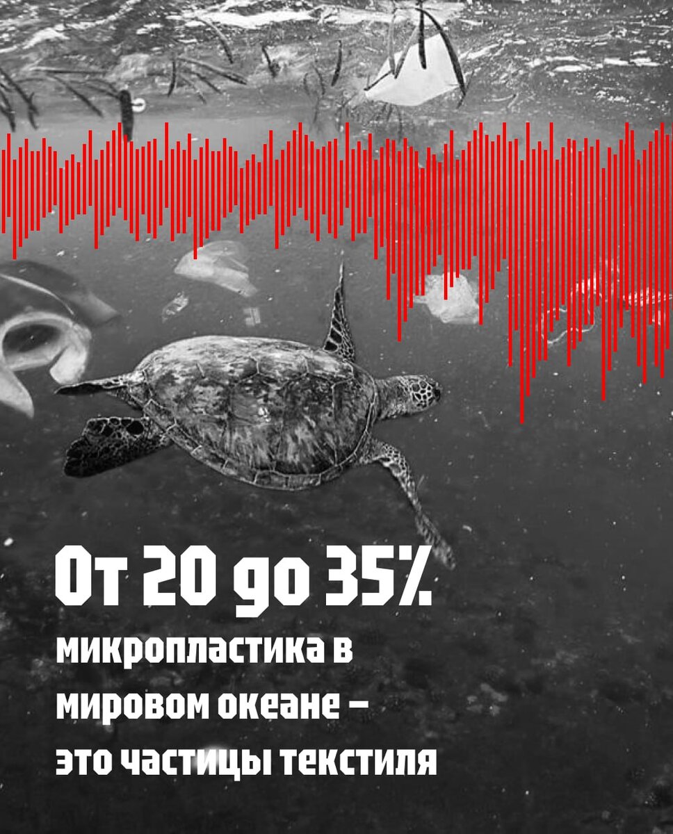 По данным https://plus-one.ru/