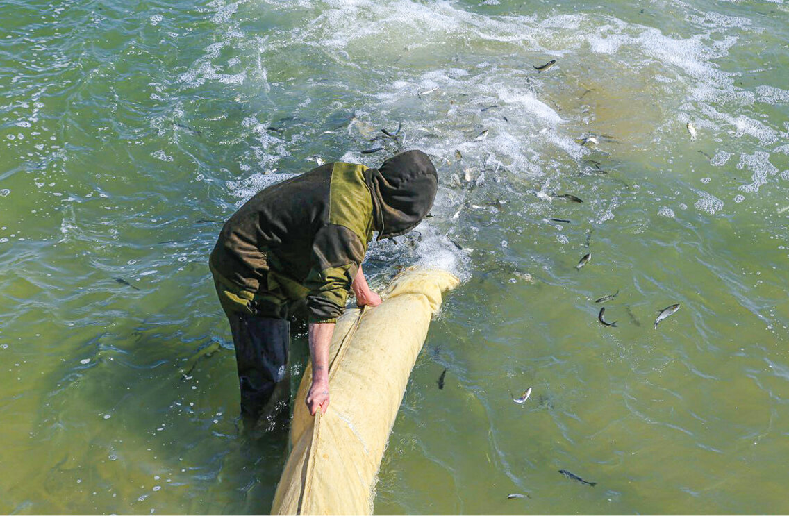 Фото: Михаил Гладчук