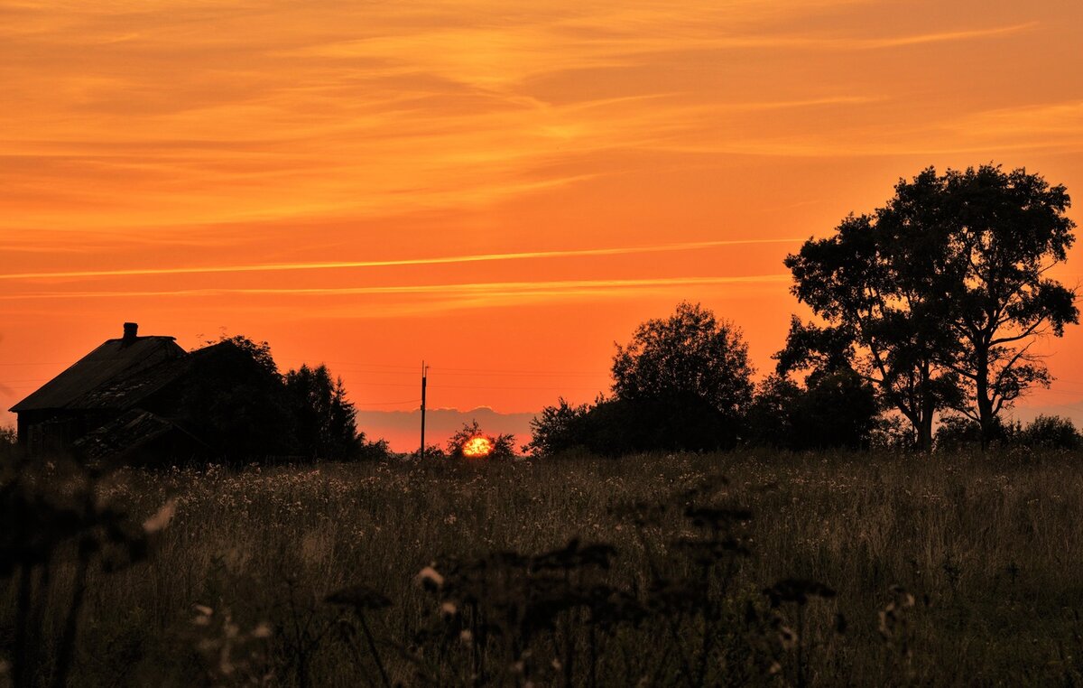 фото из интернета