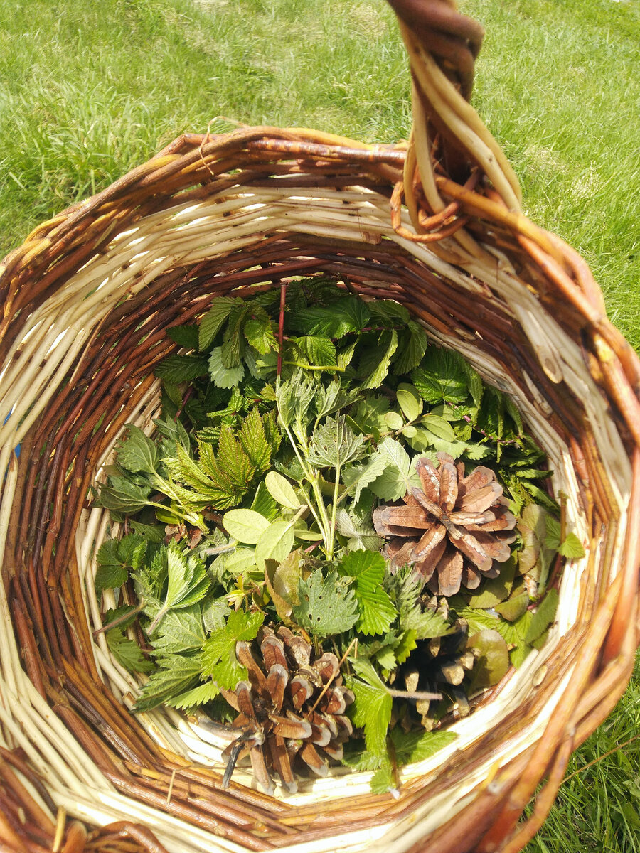 Травкам здесь хорошо и уютно