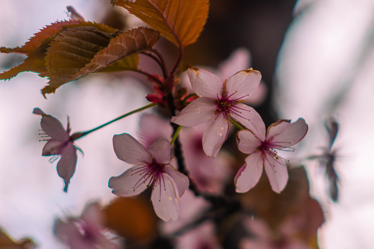 ФОТОГРАФИЯ ИЗ ТГ КАНАЛА