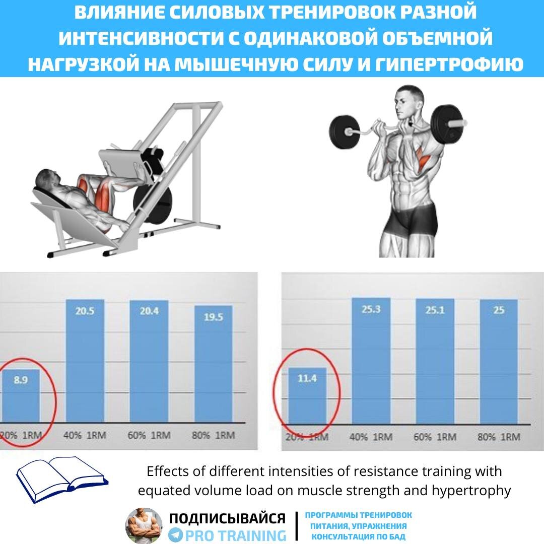 Всё, что нужно знать о тренировках со своим весом: Программа тренировок с  минимальным оборудованием для увеличения мышечной массы | Томаш Игорь | Pro  Training | Дзен