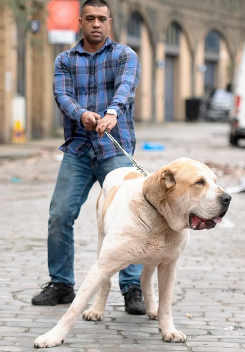 Держи меня крепче, а вы – бегите