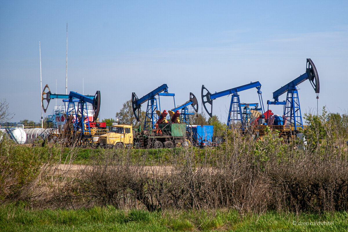 Балтийская нефть. Как в Калининградской области добывают черное золото ...