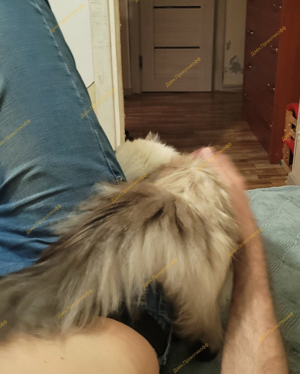 передний вид сзади