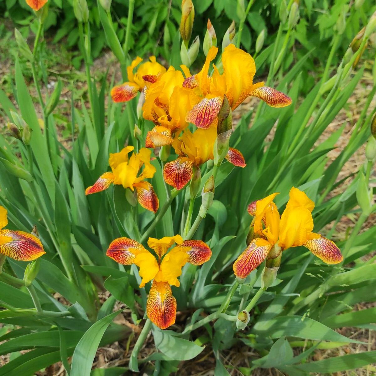 Ставьте лайк и подписывайтесь на мой канал;)