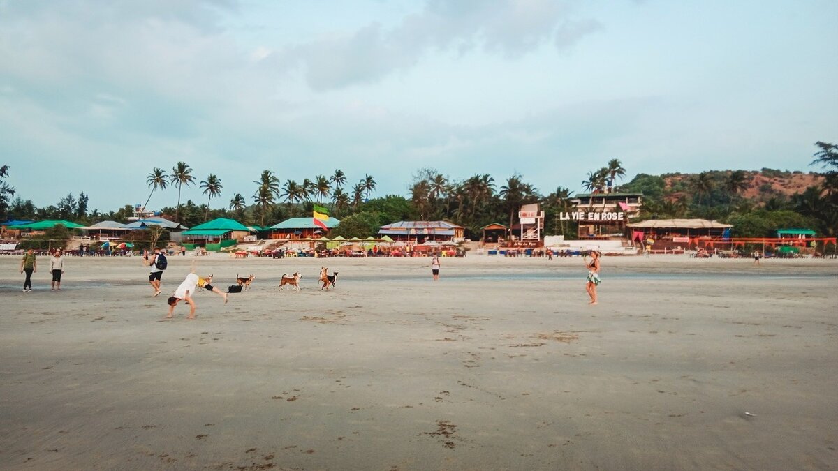     Жителям Приморья скоро представится возможность полететь прямым рейсам на китайский остров Хайнань, где расположены популярные курорты Санья и Хайкоу. Об этом говорится на сайте федерального агентства воздушного транспорта.