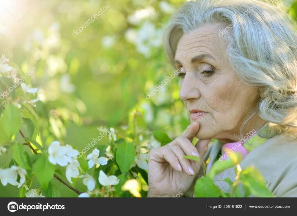 фото из яндекса