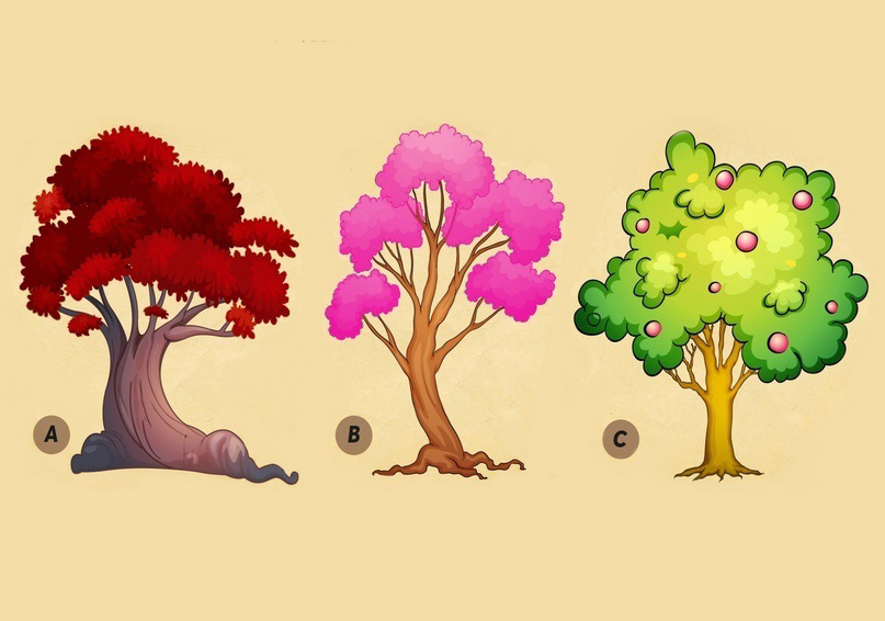 Быстрый психологический тест: выбери дерево и узнай о себе чуть больше |  Психология ПЛЮСЛЕРА | Дзен