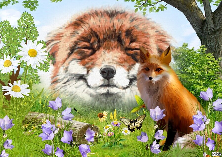 Коллаж автора