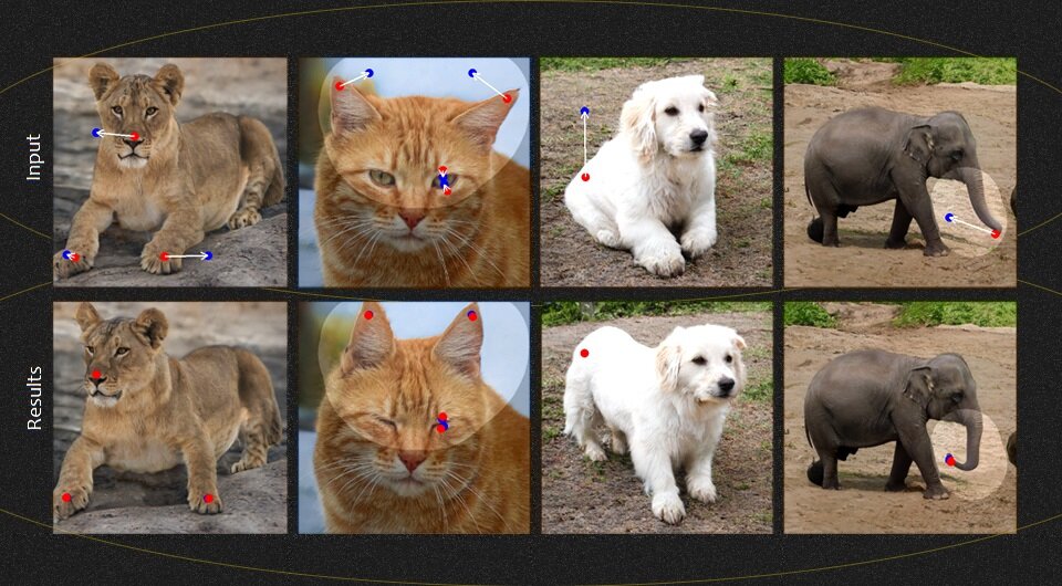   Theobalt et al. / arXiv, 2023; N + 1