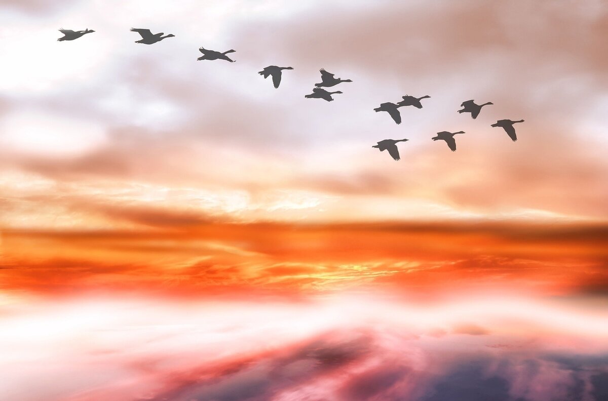 Изображение взято из открытых источников