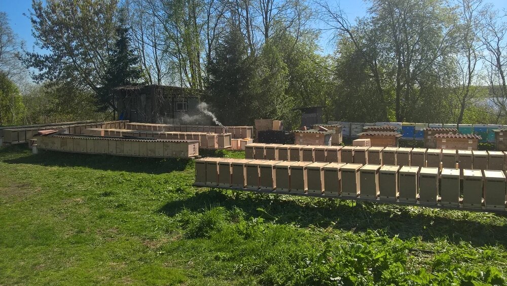 Международная торговля живыми пчелами сталкивается с растущими трудностями, но продолжает играть важную роль в развитии мирового пчеловодства.