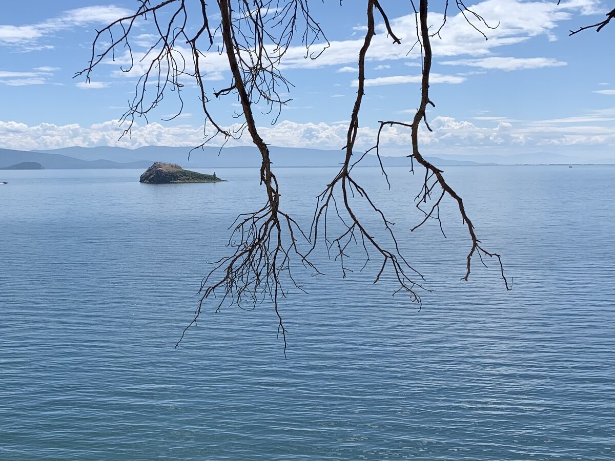 Красота везде, куда ни глянь. 